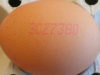 Kódové označení na vejci